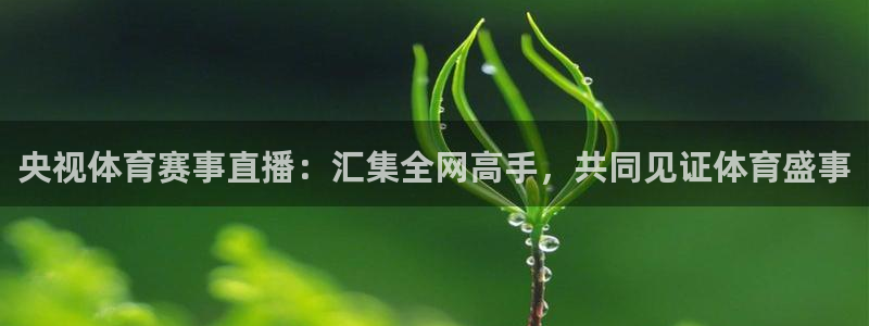 央视体育赛事直播：汇集全网高手，共同见证体育盛事