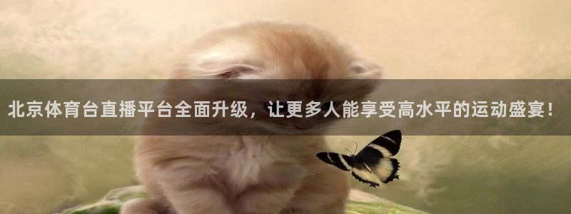 北京体育台直播平台全面升级，让更多人能享受高水平的运动盛宴！