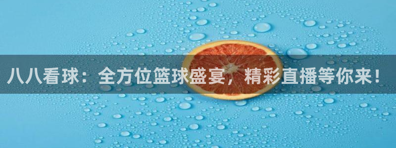 八八看球：全方位篮球盛宴，精彩直播等你来！